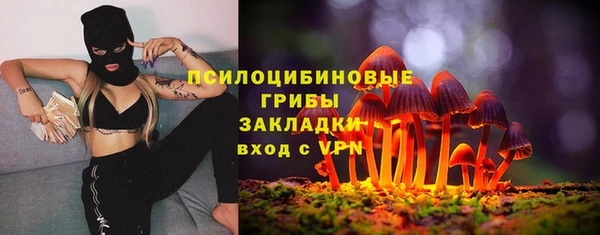 spice Волосово